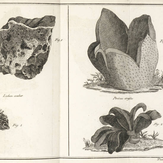 Voyage au Montamiata et dans le Siennois...Traduit per Bodard.