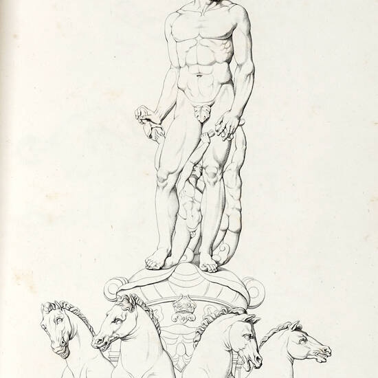 La piazza del Granduca di Firenze co' suoi monumenti...disegnati da Francesco Pieraccini e incisi da Gio.Paolo Lasinio...