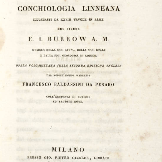 Elementi di Conchiologia Linneana illustrati da XXVIII tavole in rame....Opera volgarizzata sulla Seconda Edizione Inglese da Francesco Baldassini..