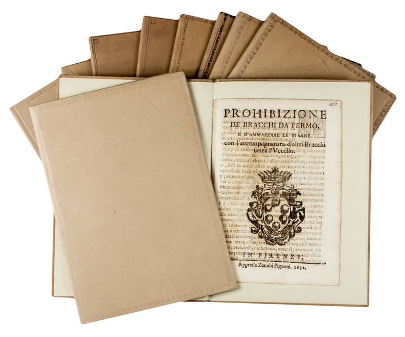 Bandi Medicei su Caccia e pesca.