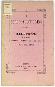 SORGO (IL) zuccherino. Memoria popolare di un membro dell'Associazione Agraria degli Stati Sardi.
