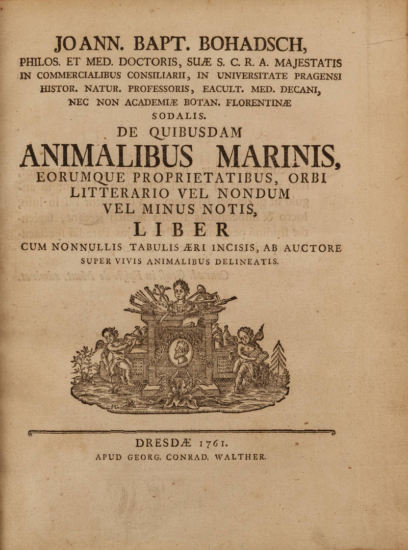 De quibusdam Animalibus Marinis...