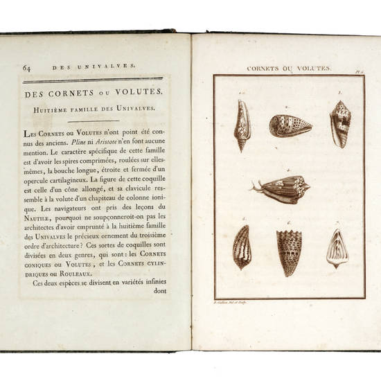Histoire abrégèe des coquillages de Mer, de Leurs Moeurs et de Leurs Amours.