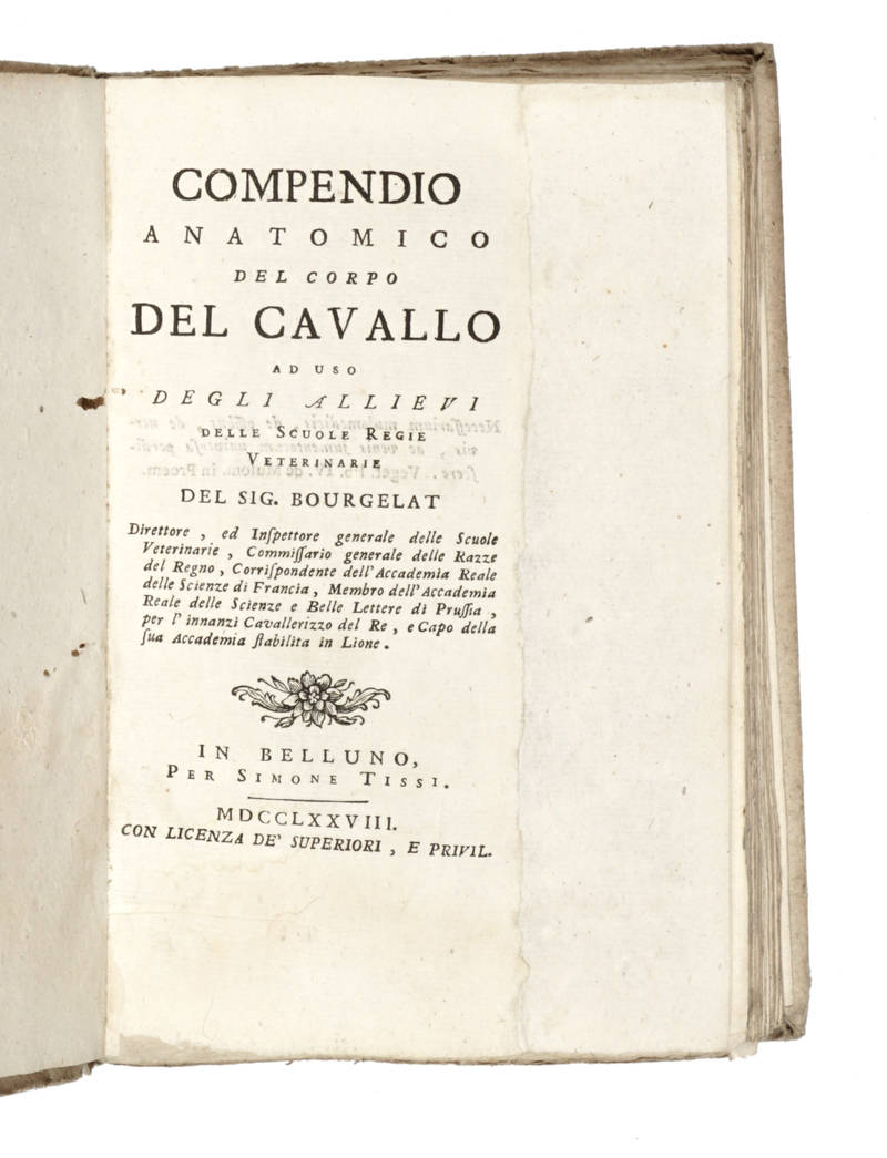 Compendio anatomico del corpo del Cavallo...
