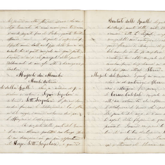 LEZIONI di ippologia. LEZIONI di ippologia.