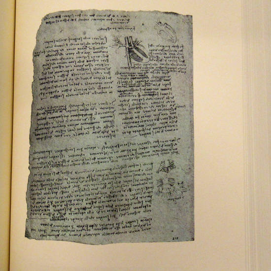 Quaderni d'Anatomia, a cura di Paolo Giordano.