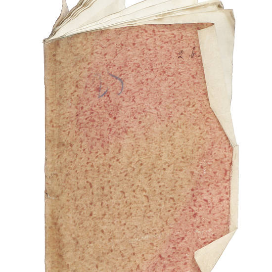 Raccolta di 21 incisioni in rame eseguite da G. Vascellini con statue site nel Giardino di Boboli.