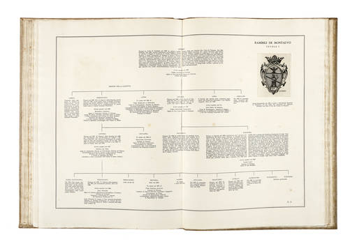 Famiglie patrizie fiorentine. Appunti genealogici in XXXIV tavole di testo e III di incisioni...Vedute e stemmi incisi da M.A. Falorsi.