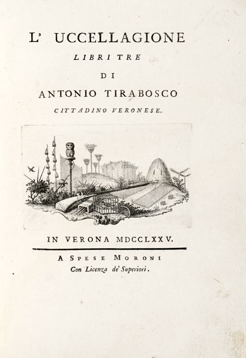 L'Uccellagione.