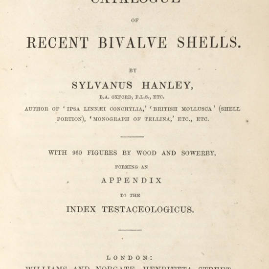 An illustrated and descriptive catalogue of recent bivalve shells…forming an appendix to the Index testaceologicus.