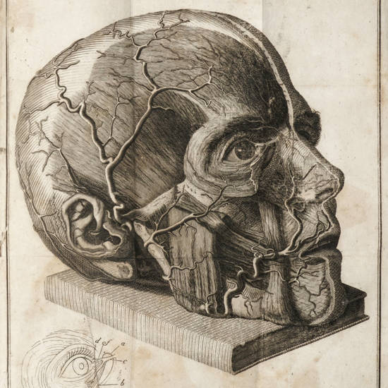 Saggio di osservazioni e di esperienze sulle principali malattie degli occhi.. .Tomo Primo (-terzo). Saggio di osservazioni e di esperienze sulle principali malattie degli occhi.. .Tomo Primo (-terzo).