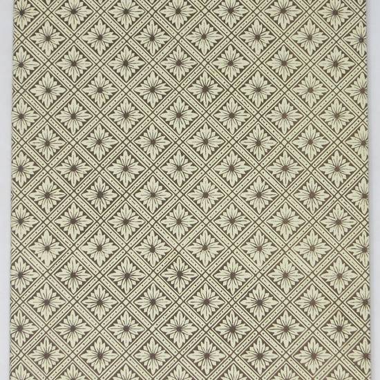 CENNI su' Bagni d'Aqui ed istruzioni per i concorrenti ai bagni medesimi presso Casciana nel Comune di Lari, prov. di Pisa.