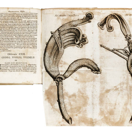 MISCELLANEA Curiosa medico-phisica academiae naturae curiosorum, sive Ephemeridum medico-physicarum Germanicarum Annus Tertius, anni scilicet MDCLXXII. continens Celeberrimorum Virorum tum Medicorum tum aliorum Eruditorum in Germania & extra Eam Observati MISCELLANEA Curiosa medico-phisica academiae naturae curiosorum, sive Ephemeridum medico-physicarum Germanicarum Annus Tertius, anni scilicet MDCLXXII. continens Celeberrimorum Virorum tum Medicorum tum aliorum Eruditorum in Germania & extra Eam Observati