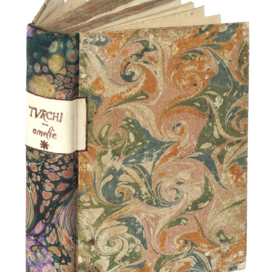 Omelie/ E/ Lettere/ Pastorali/ Di Monsignore/ Fr. Adeodato/ Turchi/ Vescovo Di Parma/ E Conte Ec. Omelie/ E/ Lettere/ Pastorali/ Di Monsignore/ Fr. Adeodato/ Turchi/ Vescovo Di Parma/ E Conte Ec.