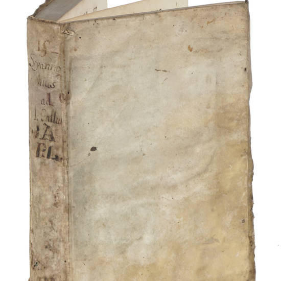 Liber singularis ad L. Gallus. ff. de lib. & Post.