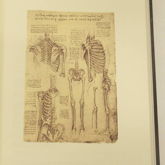 Dell'anatomia.