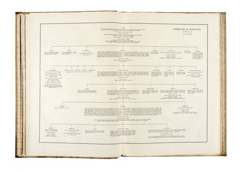 Famiglie patrizie fiorentine. Appunti genealogici in XXXIV tavole di testo e III di incisioni...Vedute e stemmi incisi da M.A. Falorsi.