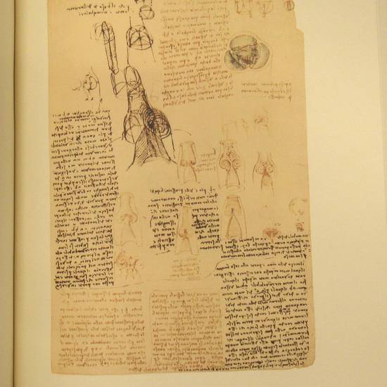 Quaderni d'Anatomia, a cura di Paolo Giordano.