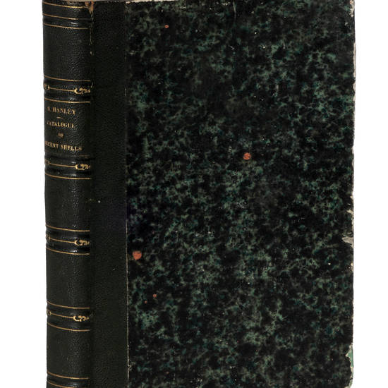 An illustrated and descriptive catalogue of recent bivalve shells…forming an appendix to the Index testaceologicus.
