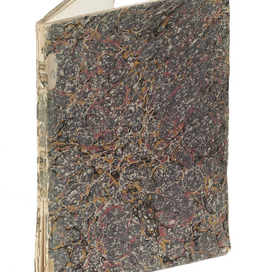 OMAGGI alle maestà di Carlo Lodovico Re d'Etruria e Maria Luisa Infanta di Spagna Regina Reggente per l'apertura del Regio Liceo eretto nel Museo Reale di Fisica e di Storia Naturale di Firenze con Motuproprio del dì 20. Febbraio 1807. OMAGGI alle maestà di Carlo Lodovico Re d'Etruria e Maria Luisa Infanta di Spagna Regina Reggente per l'apertura del Regio Liceo eretto nel Museo Reale di Fisica e di Storia Naturale di Firenze con Motuproprio del dì 20. Febbraio 1807.