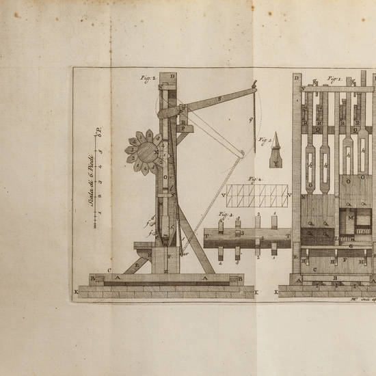Della robbia, sua coltivazione e suoi usi.