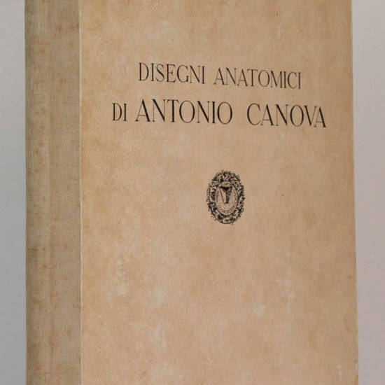 Disegni anatomici di Antonio Canova.