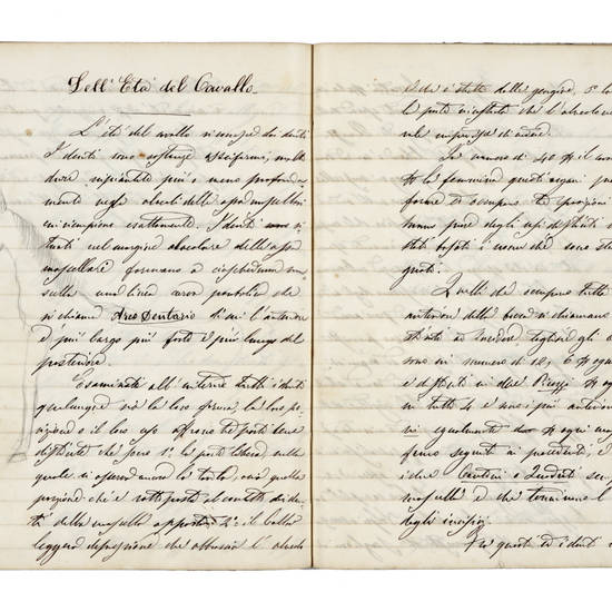 LEZIONI di ippologia. LEZIONI di ippologia.