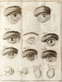 Saggio di osservazioni e di esperienze sulle principali malattie degli occhi.. .Tomo Primo (-terzo).