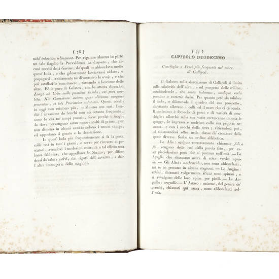 Memorie istoriche della città di Gallipoli.