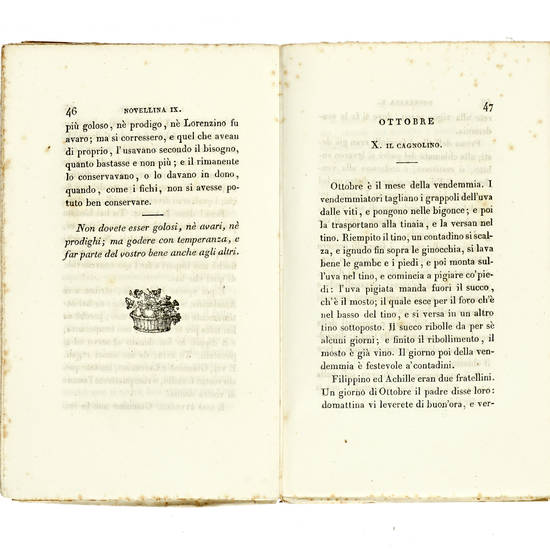 Novellette per i bambini.