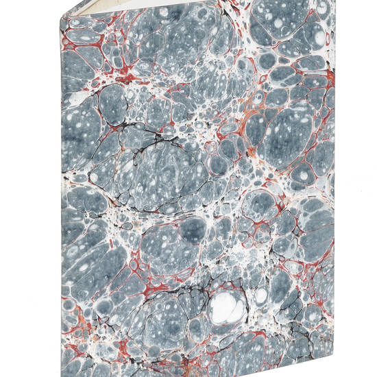 Memoria sulla miglior forma da darsi ai ripari che si costruiscono ne' fiumi.