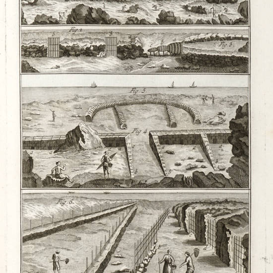 Encyclopédie méthodique ou par ordre de matieres. Dictionaire de toutes les especes de pêches. Encyclopédie méthodique ou par ordre de matieres. Dictionaire de toutes les especes de pêches.