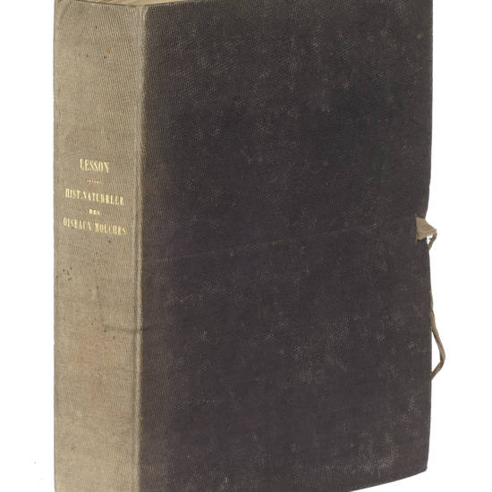 Histoire naturelle des oiseaux-mouches, ouvrage orné de planches dessinées et gravées par les meilleurs artistes et dédié a S.A.R. Mademoiselle.