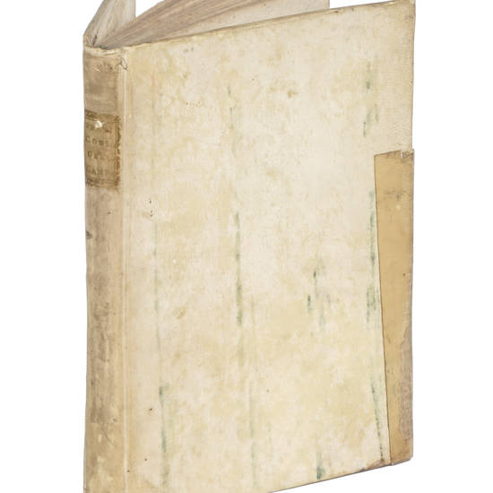 De' Consolari della Provincia della Campania. Dissertazione...