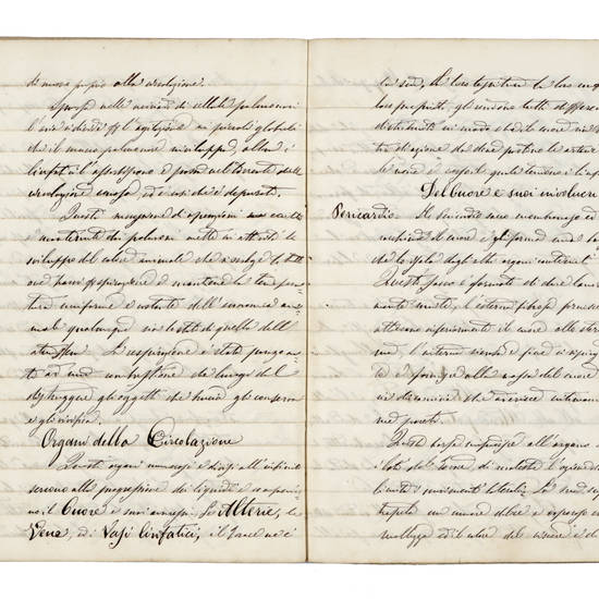 LEZIONI di ippologia. LEZIONI di ippologia.