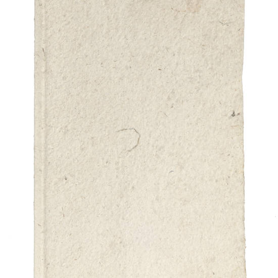 Delle Antiche Terme di Firenze.