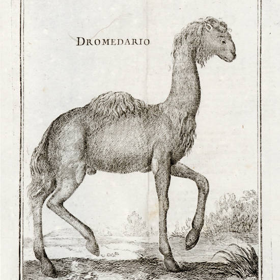 Memorie appartenenti alla Storia Naturale della Real Accademia delle Scienze di Parigi recate in Italiana favella. Tomo I - XI.