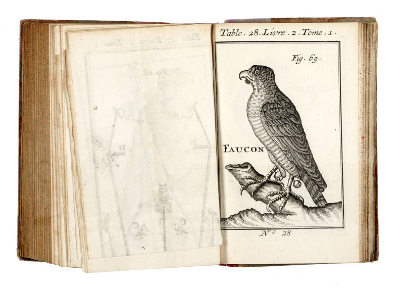 Amusemens de la Chasse et de la Peche, ou l'on enseigne la manière de prendre toute sorte d'Oiseaux & d'Animaux à quatre piés ... Amusemens de la Chasse et de la Peche, ou l'on enseigne la manière de prendre toute sorte d'Oiseaux & d'Animaux à quatre piés ...