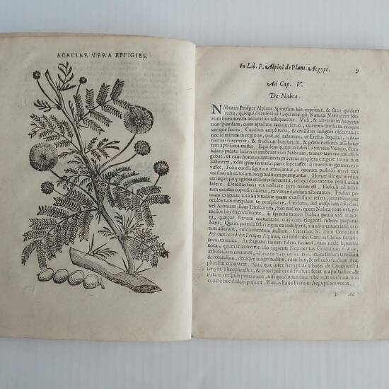 De Plantis Aegyptiis observationes et notae ad Prosperum Alpinum cum additamento aliarum eiusdem regionis. ( Johan Vesling). De Plantis Aegyptiis observationes et notae ad Prosperum Alpinum cum additamento aliarum eiusdem regionis. ( Johan Vesling).