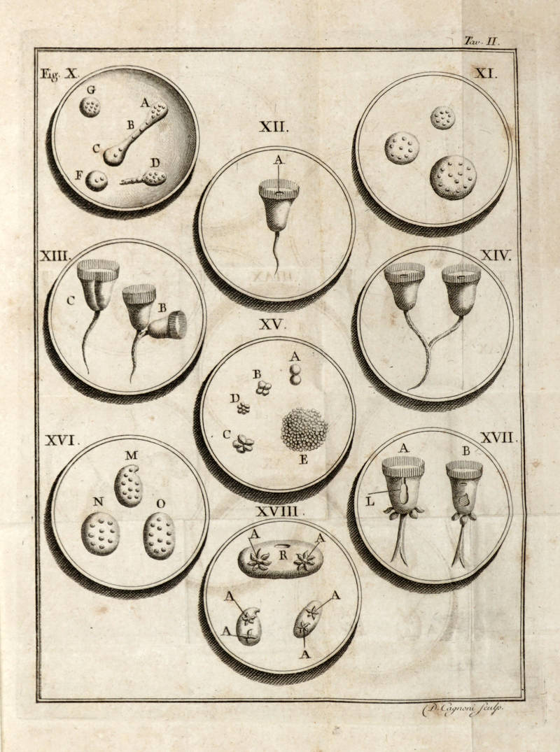 Opusculae de Physique animale et végétale...Traduits de l'Italien..., par Jean Senebier...On y a joint plusieurs Lettres rélatives à ces Opuscules écrites à Mr. Abbé Spallanzani par Mr. Charles Bonnet, & par d'autres Naturaliste célèbres.
