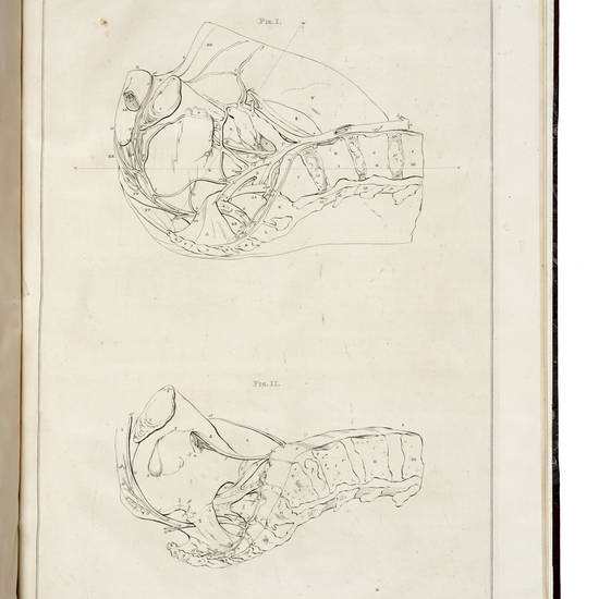 Demonstrationum Anatomico-Pathologicarum Liber Primus (-Lib. Secundus).