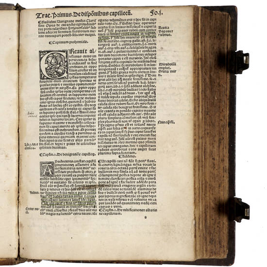 Secreta sublimia ad varios curandos morbos verissimis autoritatibus illustrata additionibus nonnullis flosculis. Item in margine decorata: diligentissime castigata...