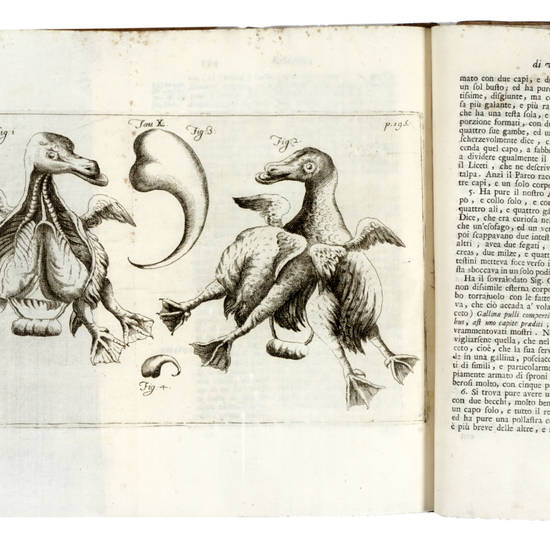 Opere diverse, cioé: I-Istoria del Camaleonte Affricano, e di varj Animali d'Italia. II-Lezione Accademica intorno all'Origine delle Fontane. III-Raccolta di vari Trattati accresciuti con Annotazioni, e con Giunte.
