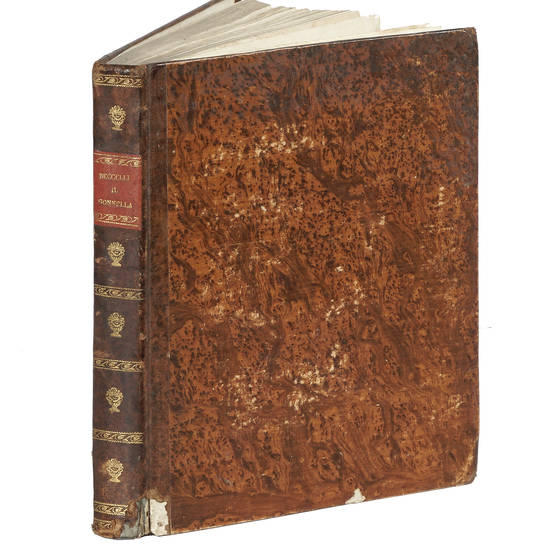 Il Gonnella Canti XII con gli argomenti di ciascun canto...A sua Eccellenza Chiara Pisani. Il Gonnella Canti XII con gli argomenti di ciascun canto...A sua Eccellenza Chiara Pisani.