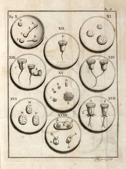 Opusculae de Physique animale et végétale...Traduits de l'Italien..., par Jean Senebier...On y a joint plusieurs Lettres rélatives à ces Opuscules écrites à Mr. Abbé Spallanzani par Mr. Charles Bonnet, & par d'autres Naturaliste célèbres.