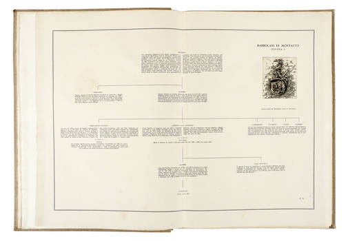 Famiglie patrizie fiorentine. Appunti genealogici in XXXIV tavole di testo e III di incisioni...Vedute e stemmi incisi da M.A. Falorsi.