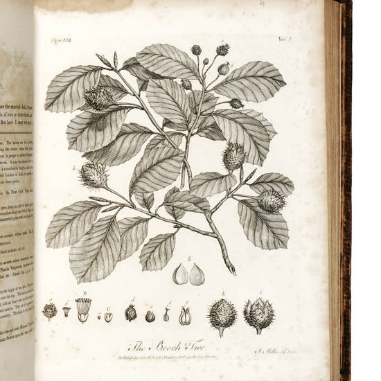 Silva: or, a discourse of forest-trees, and the propagation of timber in his Majesty's Dominions as it was delivered in The Royal Society, on the 15th of October, 1662...With notes by A. Hunter. The Fourth Edition.