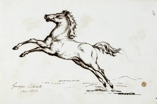 Raccolta di 53 Disegni.