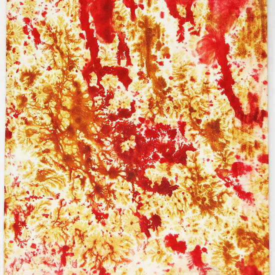 Il servo Divoto. Panegirico, all'Eminentis. Sig. Card. D'Ascoli. Il servo Divoto. Panegirico, all'Eminentis. Sig. Card. D'Ascoli.