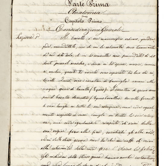 LEZIONI di ippologia. LEZIONI di ippologia.